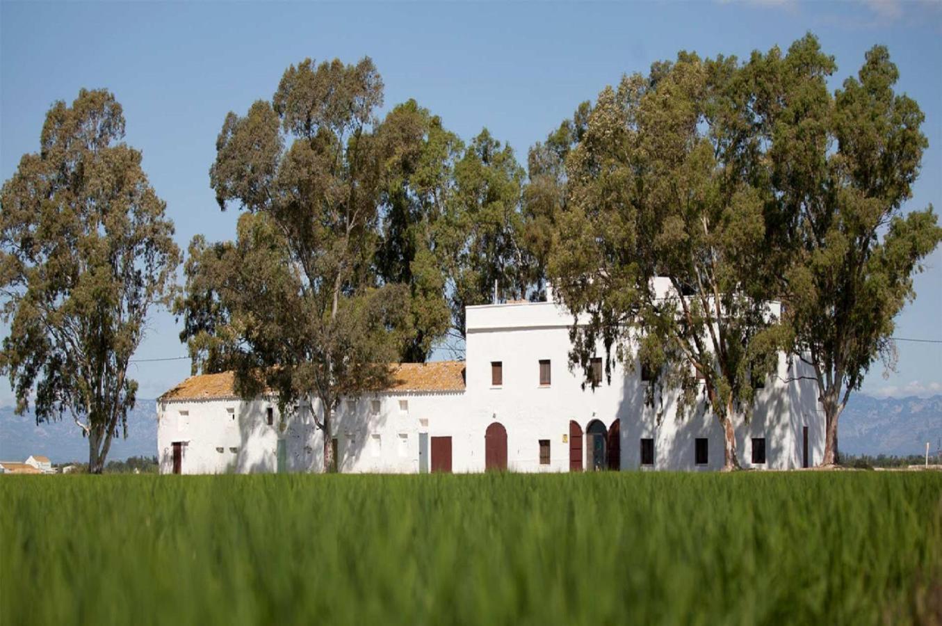 סנט ג'אומה ד'נבג'ה Mas Illa De Riu - Autentica Masia Del Delta Del Ebro Con Capacidad Para 20 Personas - Deltavacaciones מראה חיצוני תמונה