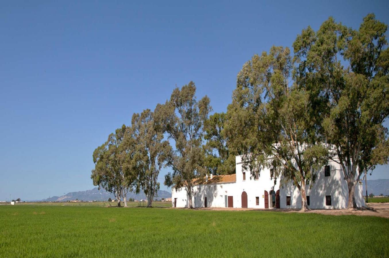 סנט ג'אומה ד'נבג'ה Mas Illa De Riu - Autentica Masia Del Delta Del Ebro Con Capacidad Para 20 Personas - Deltavacaciones מראה חיצוני תמונה