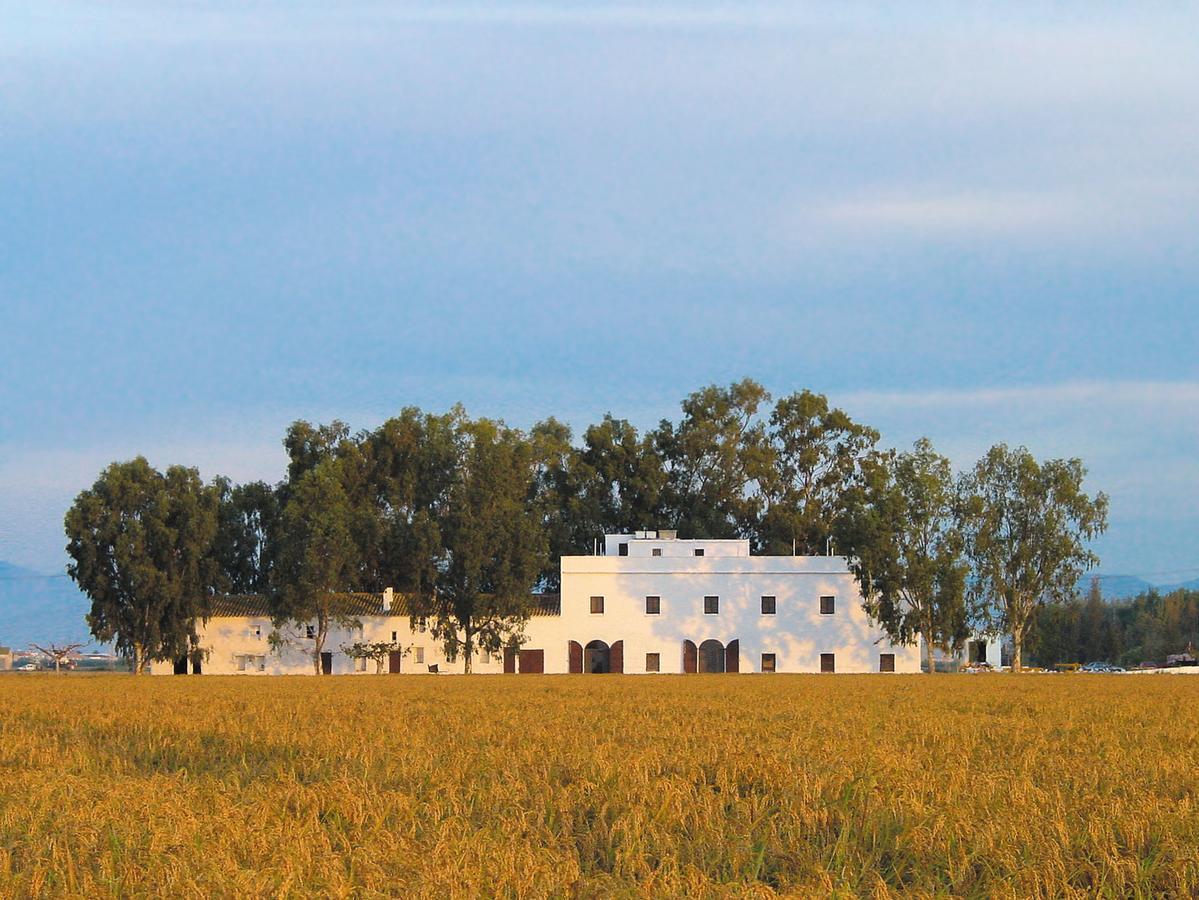 סנט ג'אומה ד'נבג'ה Mas Illa De Riu - Autentica Masia Del Delta Del Ebro Con Capacidad Para 20 Personas - Deltavacaciones מראה חיצוני תמונה