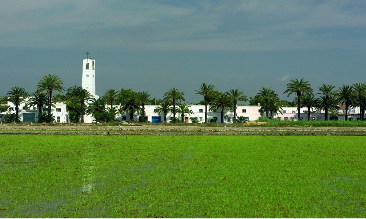 סנט ג'אומה ד'נבג'ה Mas Illa De Riu - Autentica Masia Del Delta Del Ebro Con Capacidad Para 20 Personas - Deltavacaciones מראה חיצוני תמונה