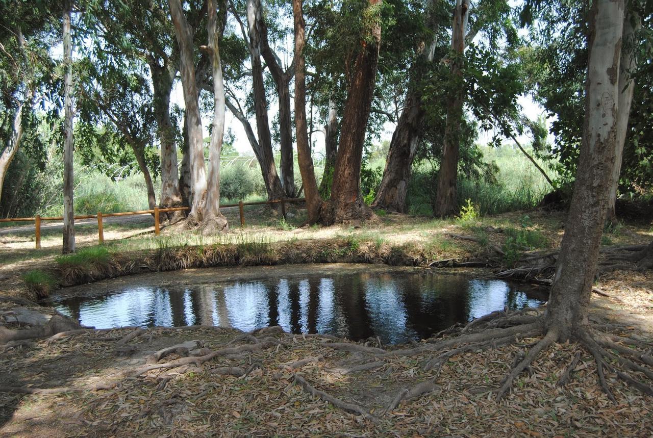 סנט ג'אומה ד'נבג'ה Mas Illa De Riu - Autentica Masia Del Delta Del Ebro Con Capacidad Para 20 Personas - Deltavacaciones מראה חיצוני תמונה